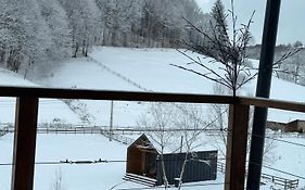 Mini Valley House 1